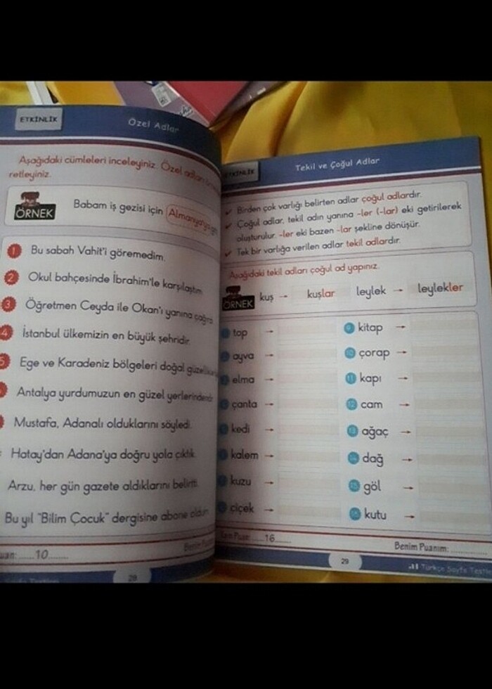Türkçe Sevinci Hayat bilgisi ilkokul birinci sınıf - Görsel 4