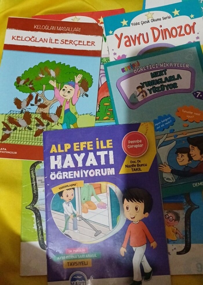 İlkokul birinci sınıf okuma kitapları  - Görsel 3