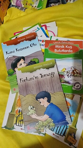 Ilkokul birinci sınıf okuma kitapları - Görsel 8