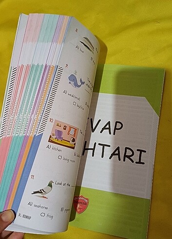 Nokta Atışı 3 Tüm dersler soru bankası - Görsel 6