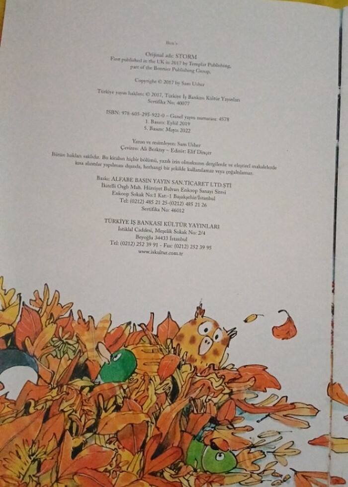 Fırtına  - Görsel 3