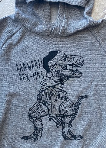 Kapüşonlu Gri Erkek Çocuk Sweatshirt - Görsel 3