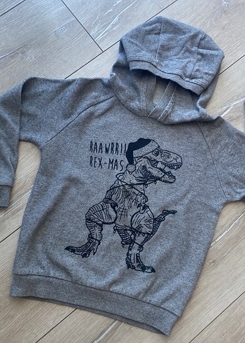 Kapüşonlu Gri Erkek Çocuk Sweatshirt - Görsel 2