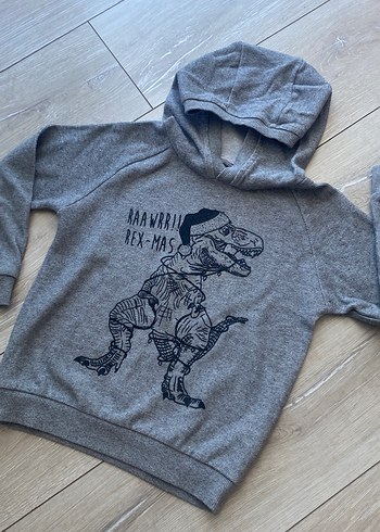 Kapüşonlu Gri Erkek Çocuk Sweatshirt - Görsel 5