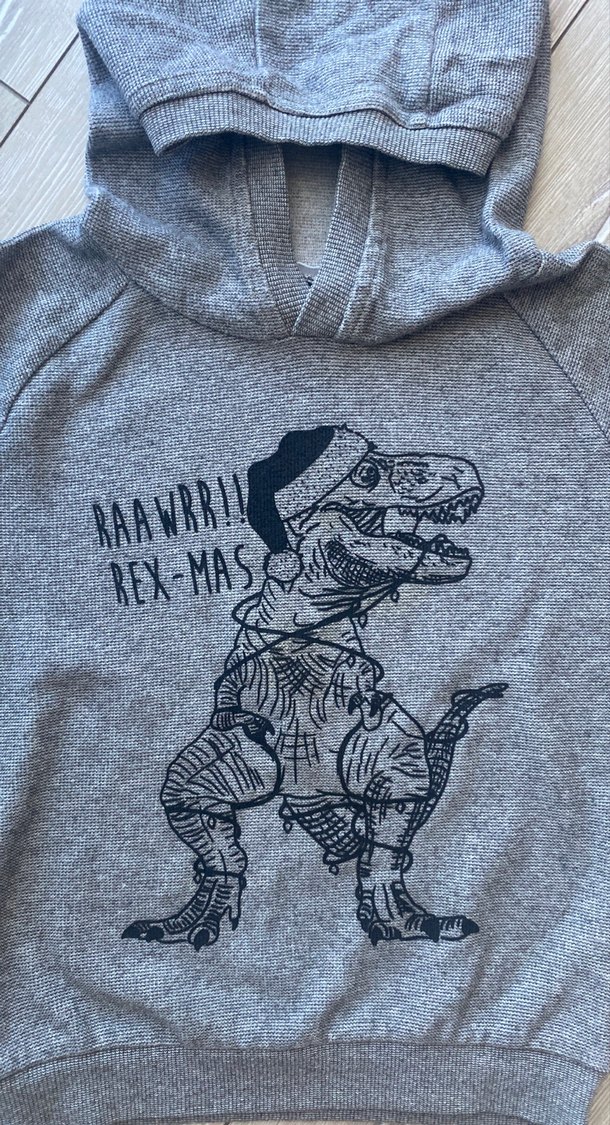 Kapüşonlu Gri Erkek Çocuk Sweatshirt - Görsel 3