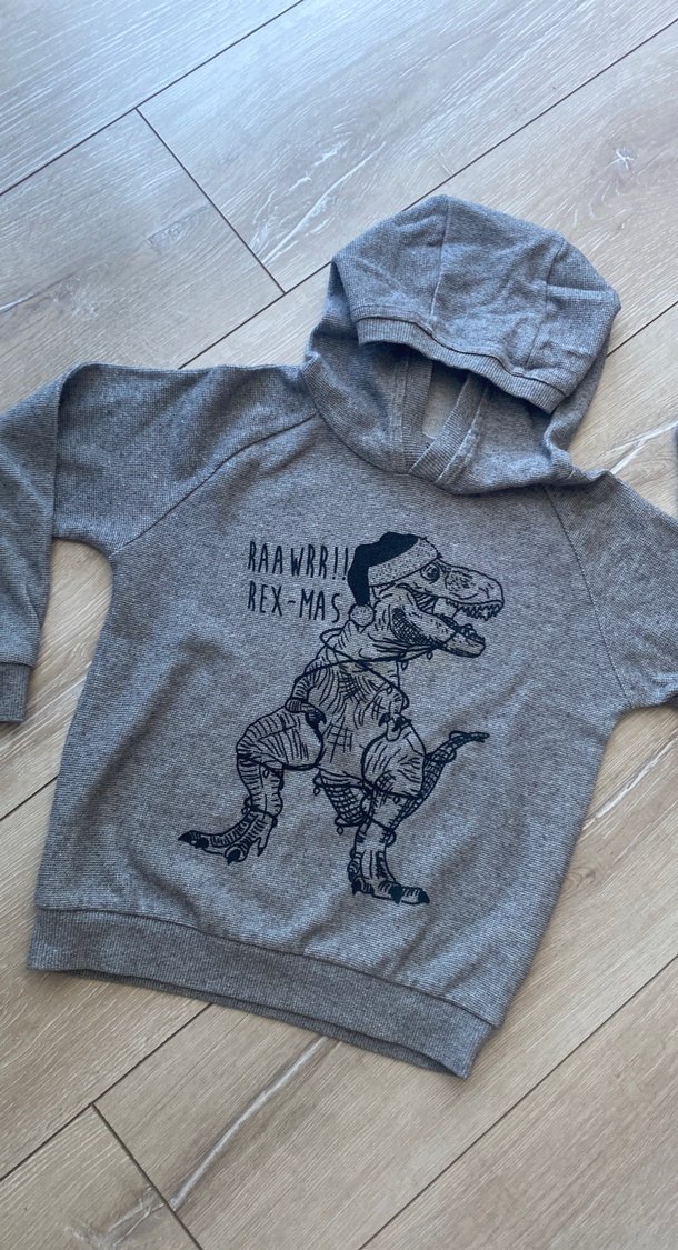 Kapüşonlu Gri Erkek Çocuk Sweatshirt - Görsel 2