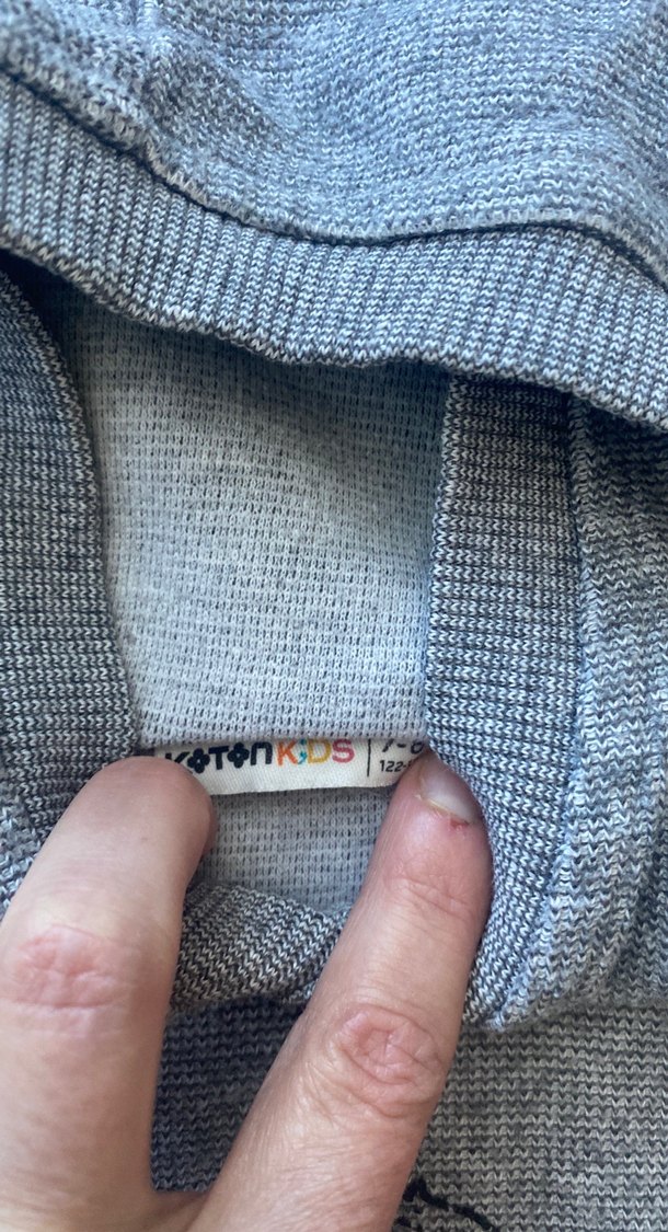 Kapüşonlu Gri Erkek Çocuk Sweatshirt - Görsel 4