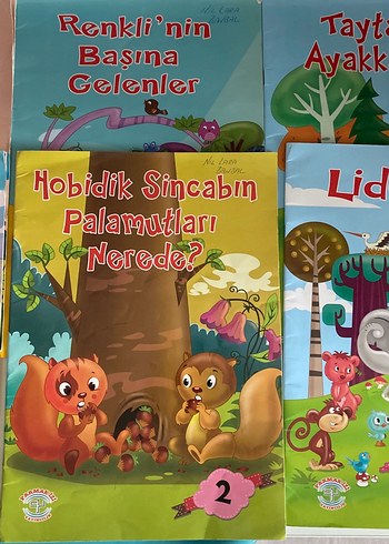2. Sınıf okuma kitap - Görsel 3
