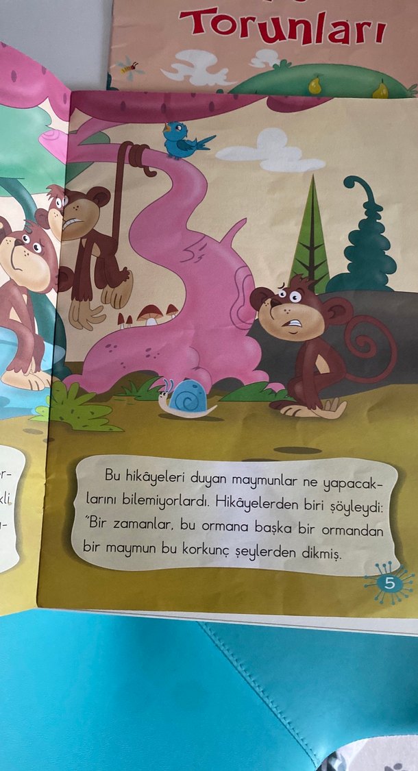 2. Sınıf okuma kitap - Görsel 5
