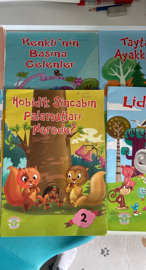 2. Sınıf okuma kitap - Görsel 3