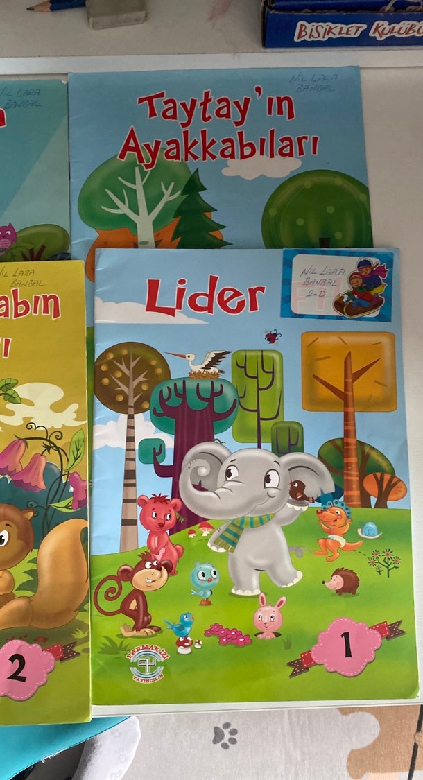 2. Sınıf okuma kitap - Görsel 4