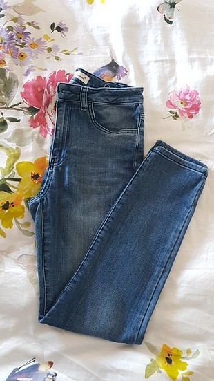 Kot pantalon