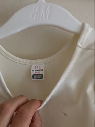 24-36 Ay Beden Lekeli crop