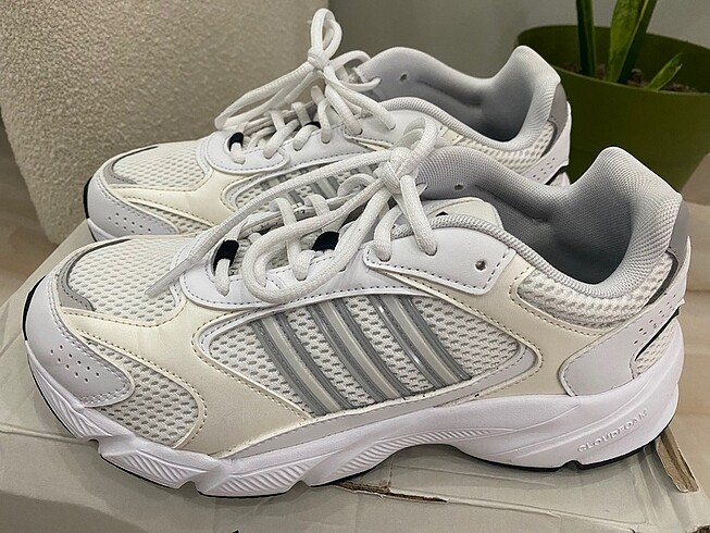 Adidas crazyshaos 2000