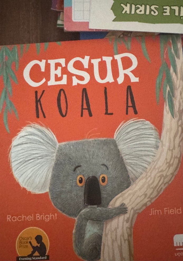 Cesaret Sandığı - Şermin Yaşar - Görsel 5