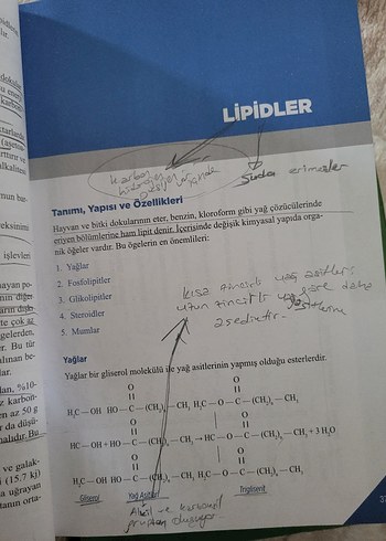 Beden Beslenme - Prof. Dr. Ayşe Baysal, 20. Baskı