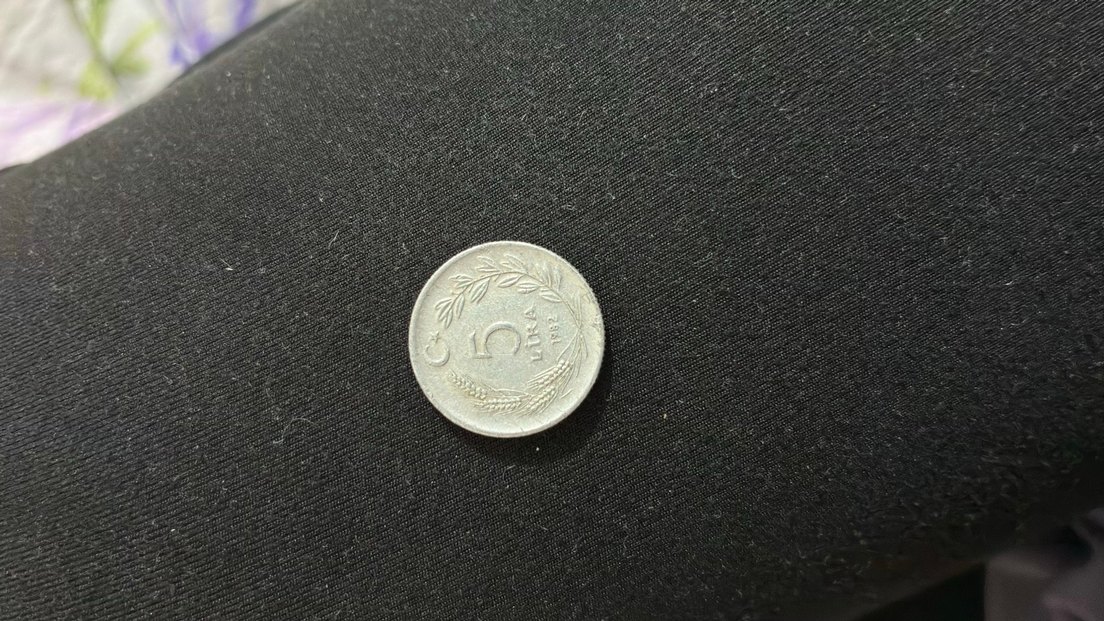 Eski madeni para koleksiyonu - Görsel 3