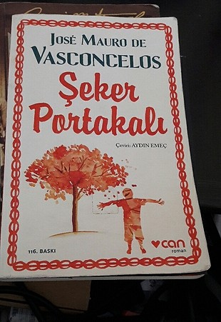 şeker portakalı
