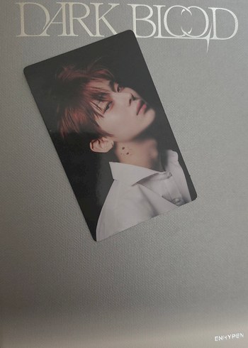 Louis Vuitton Sunoo Enhypen Dark Blood Engene Ver Pc
