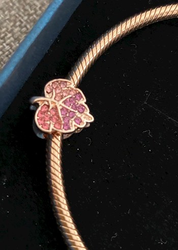 Pandora rose yaprak charm - Görsel 8