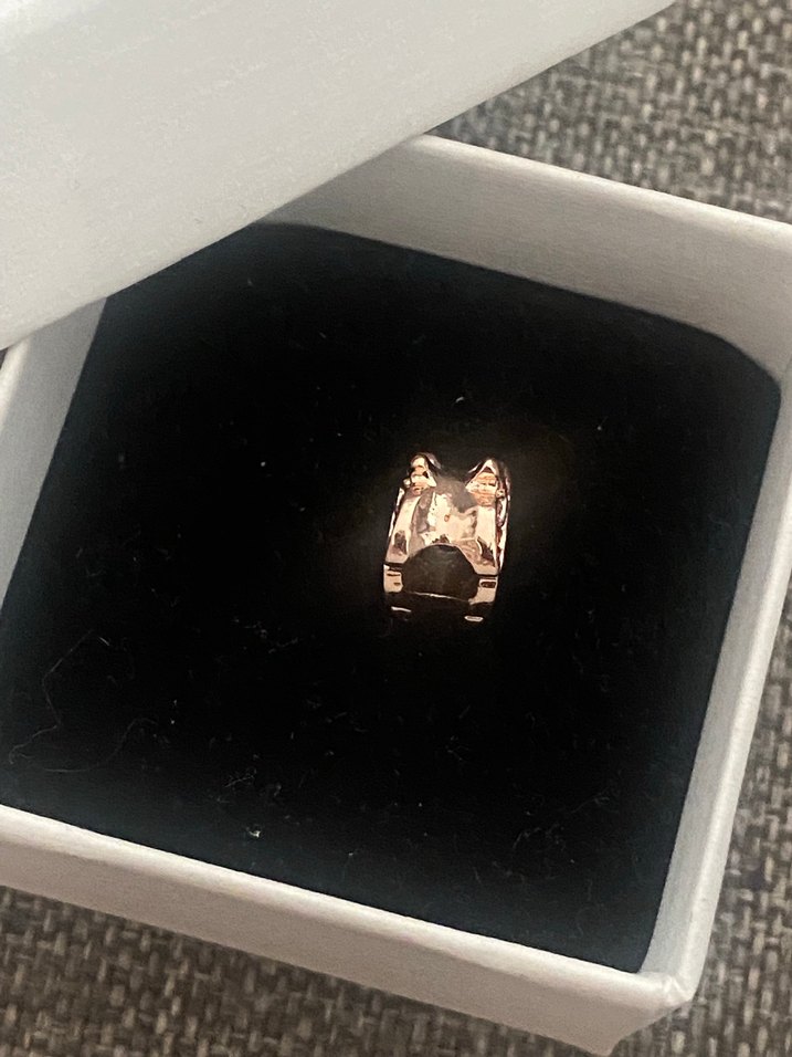 Pandora rose yaprak charm - Görsel 4