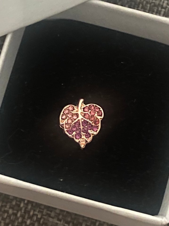 Pandora rose yaprak charm - Görsel 5