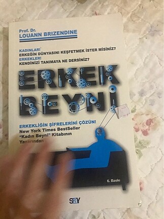 Erkek beyni