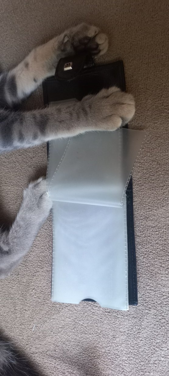 Deri Siyah kartlık - Görsel 2