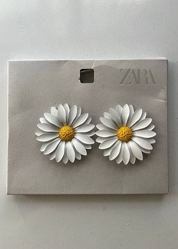 Zara Zarif Beyaz Papatya Zara Kupeler