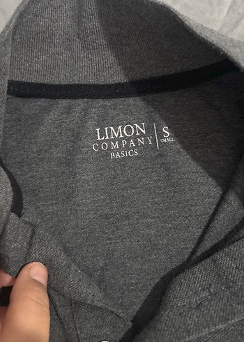 Gri Kısa Kollu Polo Tişört - Görsel 3