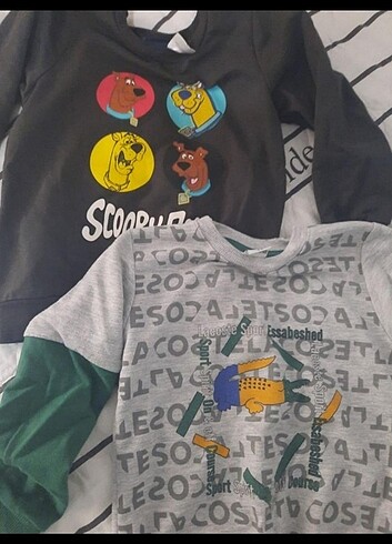 Erkek çocuk sweatshirt 