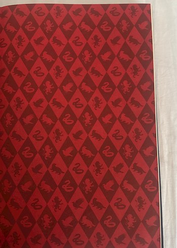 Harry Potter Ajanda - Görsel 2