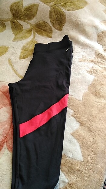 Sporcu taytı