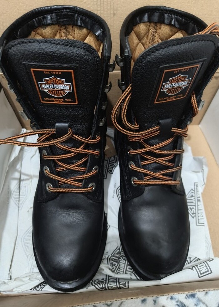 Harley Davidson bot - Görsel 4