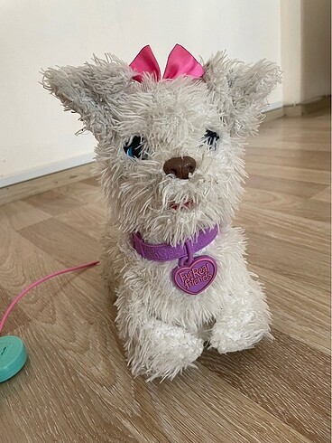 Yürüyen köpek
