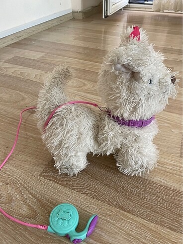  Yürüyen köpek