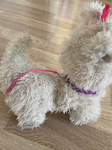  Beden Yürüyen köpek