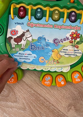 Beden VTech Öğretmenim Kaplumbağa Eğitici Oyuncak