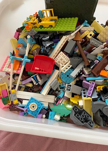 Walt Disney World Çeşitli Renklerde Lego Parçaları