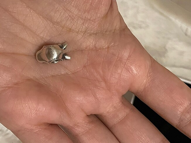 Pandora Pandora charm