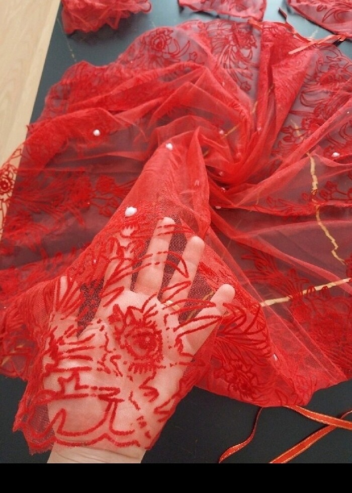 KINA GECESI VE KIRMIZI KUSAK TAKIMI - Görsel 2