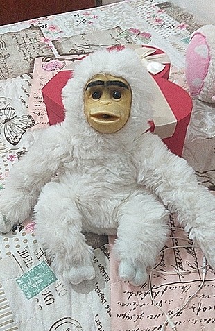 oyuncak peluş 