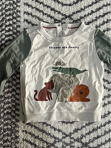 Erkek çocuk sweatshirt