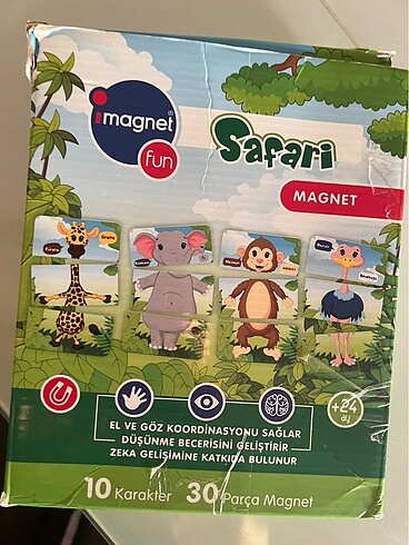 Magnet puzzle
