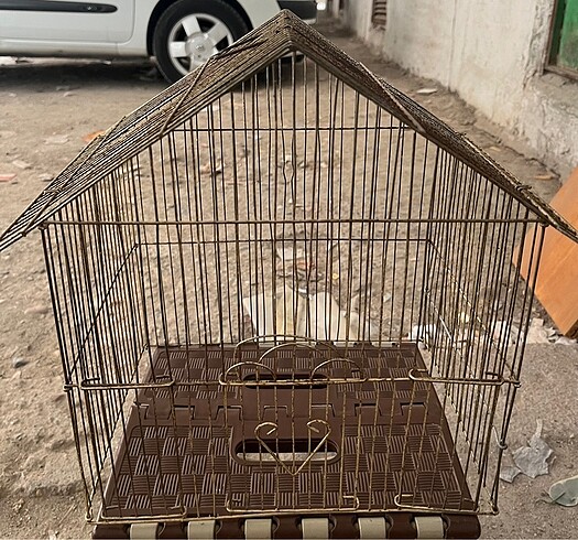 KUŞ KAFESİ. ALTIDA VAR