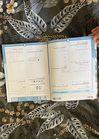 Beden Renk Rehber Matematik ile 49 Günde TYT Matematik Kampı