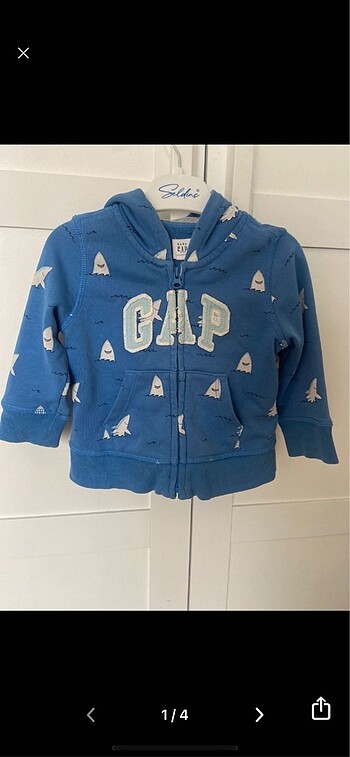 GAP hırka