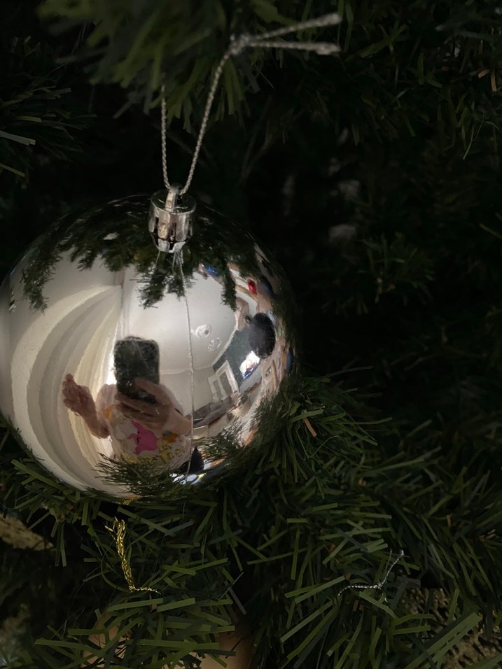 Gümüş Yılbaşı Süsü Seti - Görsel 4