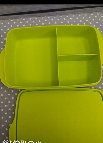  Beden yeşil Renk #Tupperware bölmeli beslenme kabı