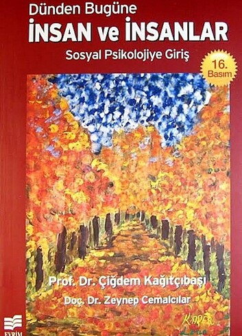 Sorunsuz 